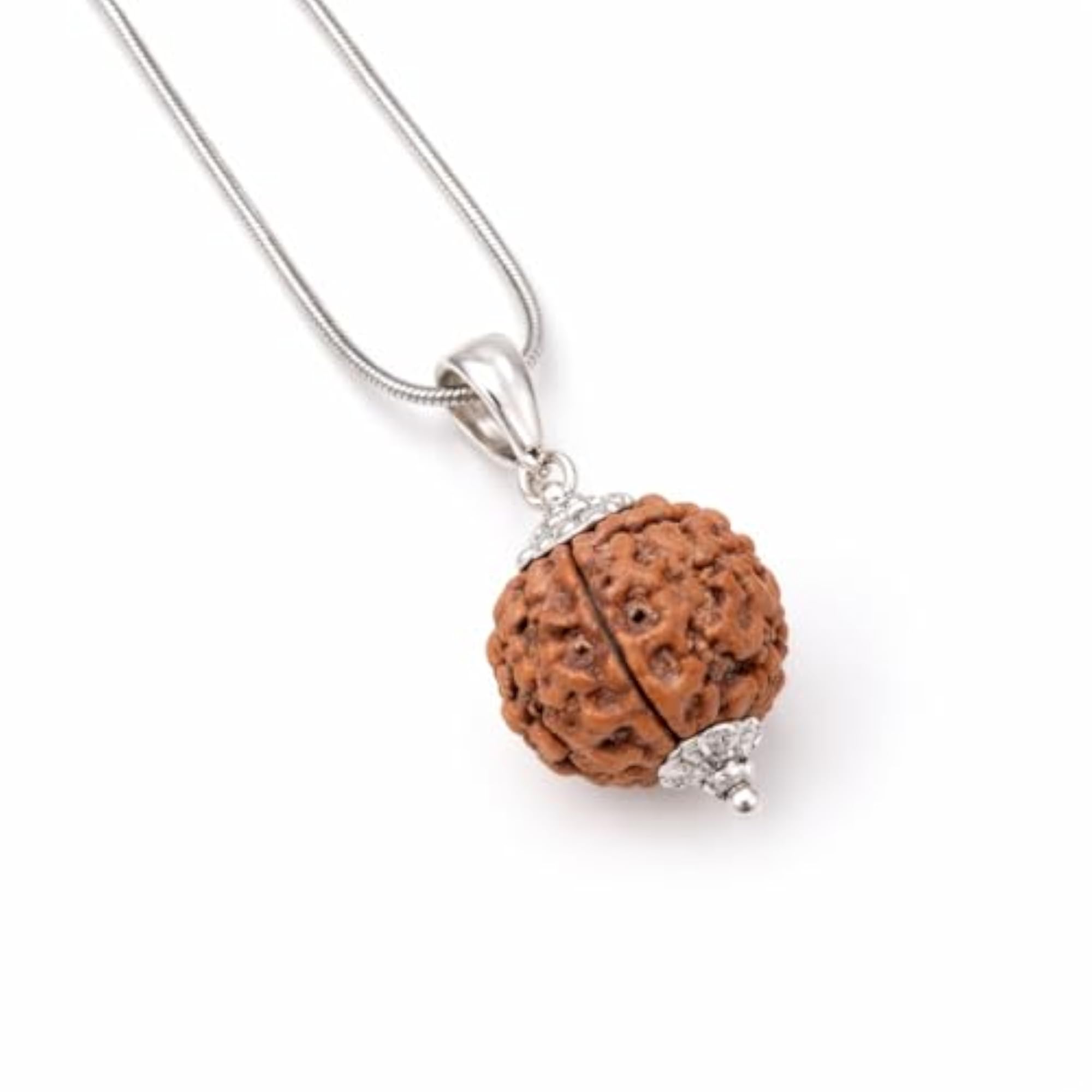5 Mukhi Rudraksha Pendant Necklace with Sterling Silver Caps