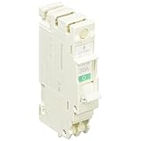 パナソニック(Panasonic) コンパクトブレーカSH型2P2E30A BSH2302