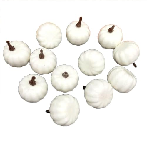 Fiegcit 50nEB ڂ u { ~j ڂ pvL AX`[ pvL ڂ nEB/NX}X/p[eB[/Gߏ/X/Be (J{` 50)