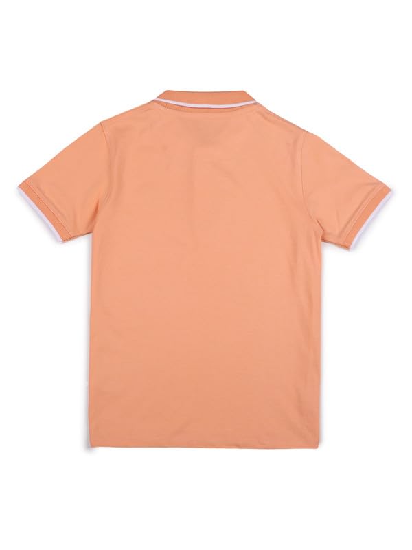 Image of Aventura Boys Polo T-Shirt Combo Pack of 2 - 100% Cotton Half Sleeve Collar T-Shirts for Boys (Age 5-12 Years)