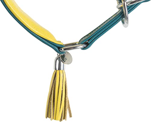 TRIXIE Active Komfort Windhunde Halsband Größe S–M: Halsumfang 33–42 cm/60 mm in petrol/gelb- extra breites Hundehalsband für kleine bis mittelgroße Hunde, schützt den Kehlbereich, unterfüttert,18968
