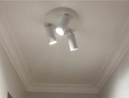 Foco de Techo LED de 3 Luces Lámpara Decorativa Redonda Creativa 4