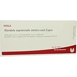 GLANDULA SUPRARENALIS sinistra cum Cupro Ampullen 10X1 ml