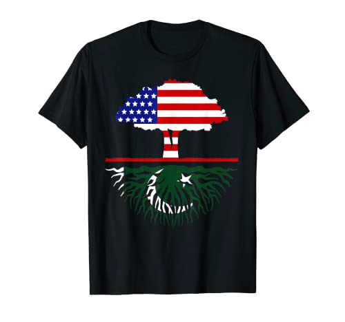 Pakistani Roots American Grown USA Pakistan Flag Heritage T-Shirt