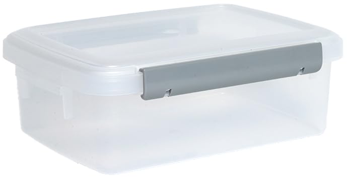 Asvel F-20 Storage Container, Large, 0.8 gal (3.2 L), Commercial Use, Moisture-proof, Stock, Daily Goods, Side Lock, Antibacterial, Kitchen Box