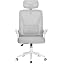 naspaluro Ergonomic Office Desk Chair with Lumbar Support/Adjustable ...