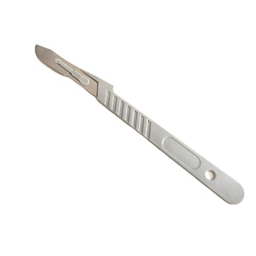 Edu-Labs Lab Disposable Scalpels, High-Carbon Steel Blades, Plastic Handle Individually Foil Wrapped, Box of 10 (19) Edu-Labs Lab Disposable Scalpels, High-Carbon Steel Blades, Plastic Handle Individually Foil Wrapped, Box of 10 (19)