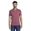 Pink (221181 | Wine Rose Pink)