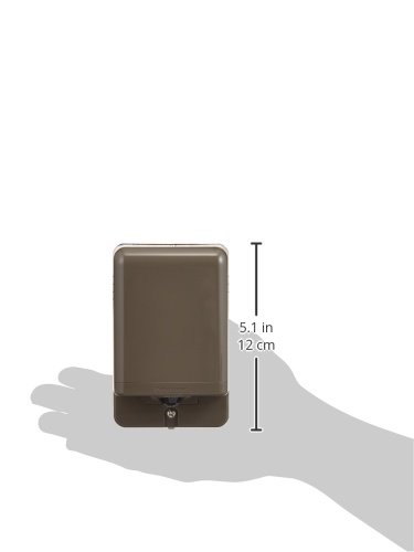 53407309_4