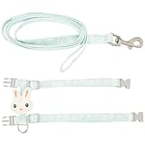 Healifty Nylon Katzengeschirr mit Leine für Kleine Katzen 1,5cm Breit Kreatives Brustgeschirr Grün Bequemes Kleintier Zugseil für Spaziergänge und Ausflüge