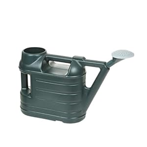 6.5L Litre Watering Can With Rose S...