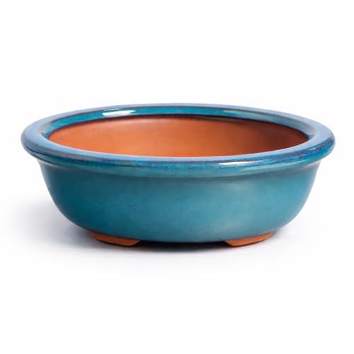 Large Bonsai Tree Pot Rectangular Ceramic Planter Tray with Drainage Hole Oblong Bonsai Plant Pot for Indoor Plants Succulents & Small Trees