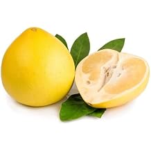 100pcs Pomelo Citrus Fruit Seeds