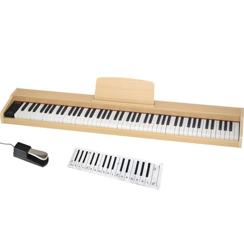 TORTE ge dqsAm ؖڒ XfUC 88 TDP-SP03/BEG x[W [ʗEy_EdA_v^[E戵ENX]