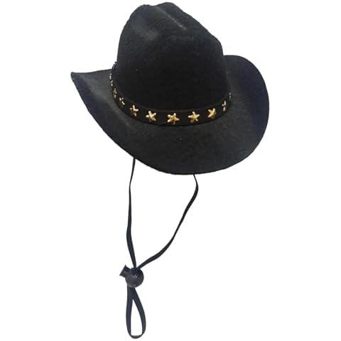 Tiny Cowboy Hat for Small Pets Cover