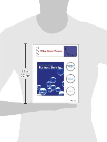 Understanding Business Statistics - Image 3