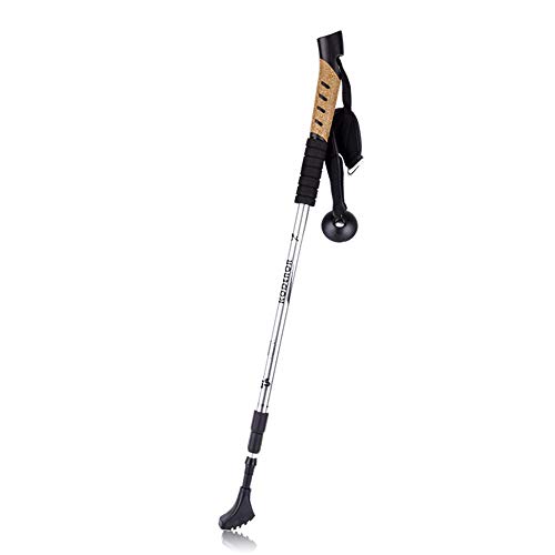 gipron ski pole