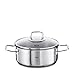 Fissler Viseo 084-127-20-001/0 Cacerola de Acero Inoxidable, 20 cm