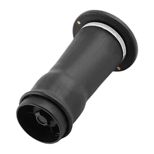 Ressort pneumatique arrière pour Land Rover Discovery 2 L318 4.0L