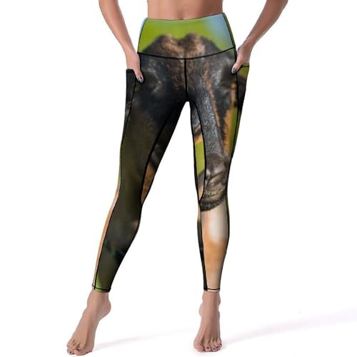 Legging de sport femmes taille haute opaque pantalon yoga anti-glisse gym S