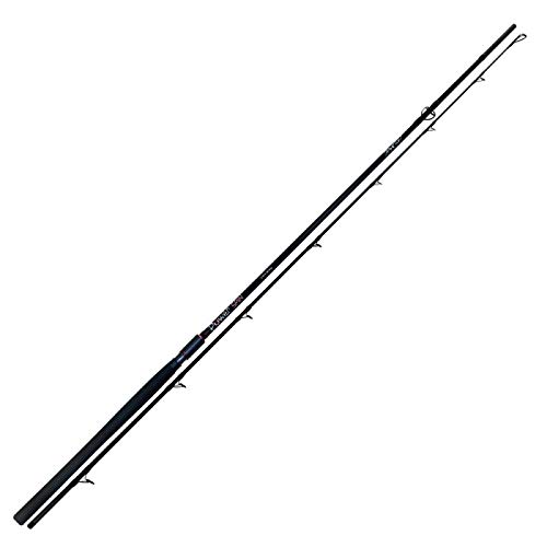 Recast Power Spin 6´9´´-2.10 m 20 50 g Canna da Pesca a Spinning Ideale per Tutti i Pesci Predatori Sia in Mare Che Fiume e Lago