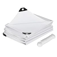 Transparente Abdeckplane 3x5m - Wasserdicht Mit Ösen Für Garten & Camping