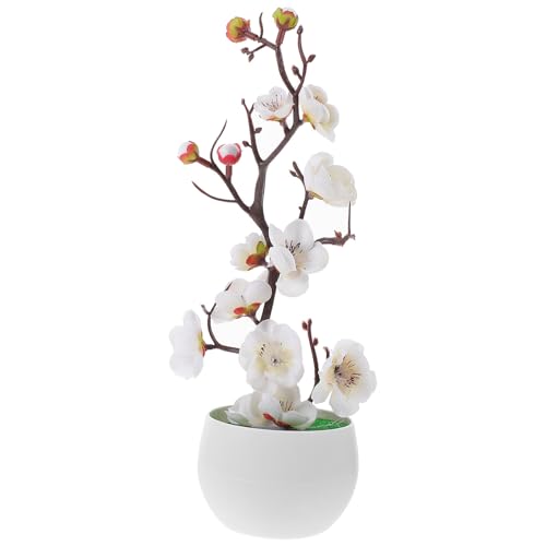 RUNROTOO ?^?~} lHA tFCNt[ ~Ԏ} CeA z[ItBXp eiXsv F򂹂Ȃ