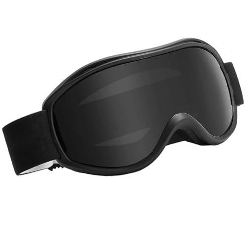 Lunettes de ski double couche anti-buée avec vision large panoramique