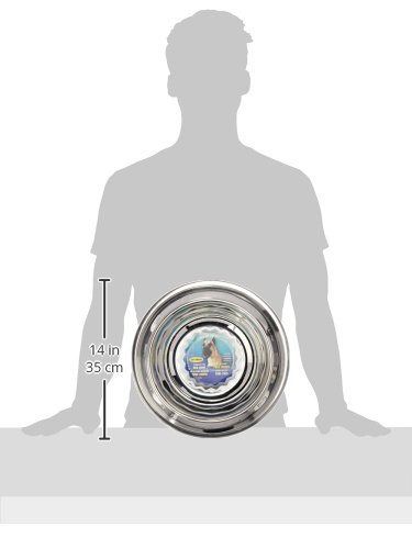 Dogit Hagen Stainless Steel Non-Spill Dog Bowl With Rubber Ring To Prevent Sliding, 96 Ounce #TOP2