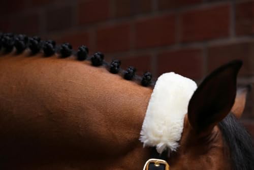 Cabezada para ovejas Kentucky de nylon resistente para manejo de ganado ajustable 5