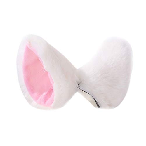 ʂݔLwAs[^ӂӂ펨RXvwANbvp[eB[ptH[}XߑANZT[, X^C01