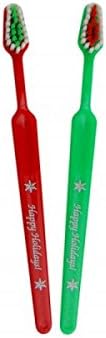 Holiday Toothbrush Child