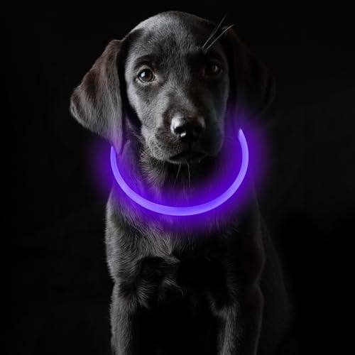 Coolzon Collare luminoso cane ricaricabile collare cane luce impermeabile con 3 modalità di luce regolabile lunghezza collare LED per cani gatti piccolo medio grande viola