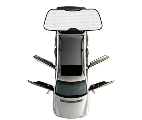 Pare-soleil pour Hyundai Santa Fe MX5 : stoppez la chaleur arrière