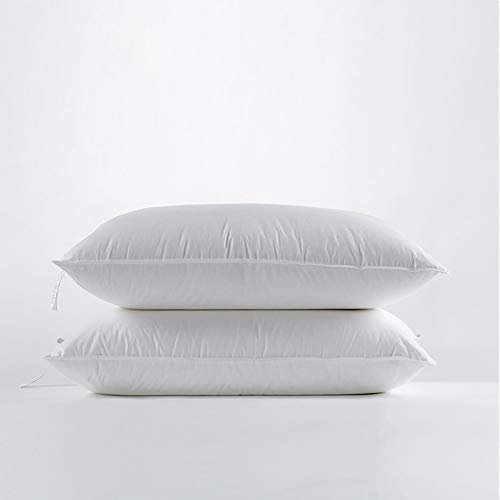 ClothHouse Almohadas De Terciopelo De Poliéster Hotel Funda Hipoalergénica 100% Algodón, Soporte Medio Firme, 45 X 75 Cm, Paquete De 2, Lavable