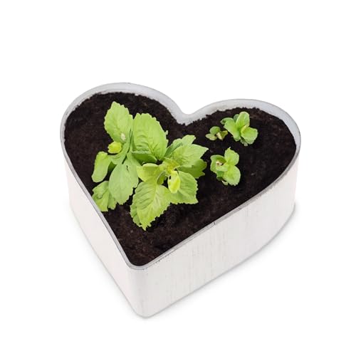 Cuenco para plantas con forma de corazón, vintage, color blanco crema, 21 x 20 x 7 cm, resistente a la intemperie, decoración funeraria, flor