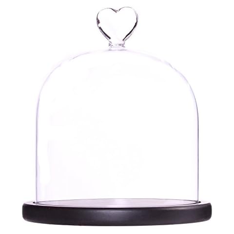 Moonlear Clear Glass Dome Display Case Heart Handle Cloche with Wood Base Dia 6 inch Cover
