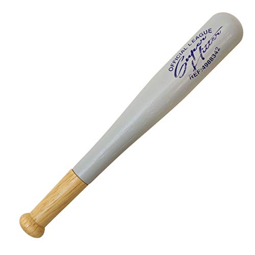 penco/�y���R �o�b�g�y�� �����{�[���y�� 0.8mm�y�O���[�z FT171-GY