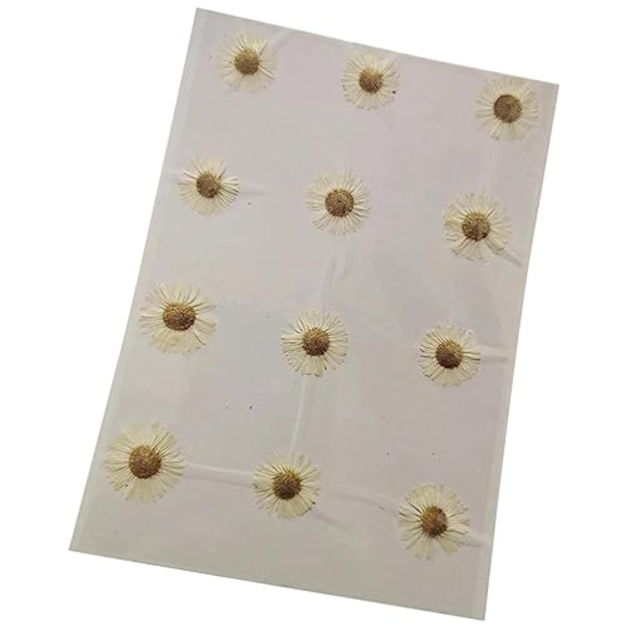 12x Dried Pressed Flowers DIY Art Crafts White