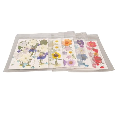 Kit de flores prensadas Pissente, colección vibrante para manualidades miniatura 3