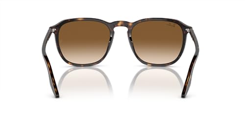 Ray-Ban RB2203F Square Sunglasses4