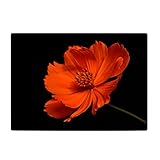 angel3292 Place Mat Soft Touch Anti-scalding Flax Decorative Floral Printed Coaster Pad Home...