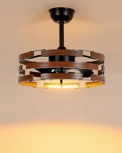 Image of Roomratv Farmhouse Fandelier Ceiling Fan with Lights, 20'' Caged Bladeless Ceiling Fan with Remote, Enclosed Small Fan Light Fixtures for Bedroom Living Room