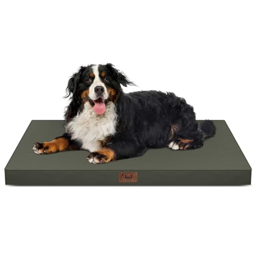 Tail Stories Outdoor All Weather Waterproof Dog Bed, Orthopedic Dog Bed for Extra Large Dogs, Egg...