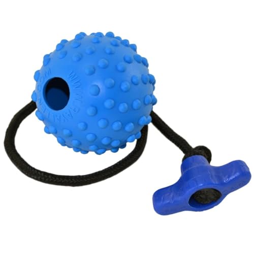 Ray Allen Ball On Rope Toy - Professional Quality Dog Training (Blue w/T-Handle, 2.5