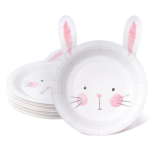 Cheerland Easter Bunny Paper Plates for Rabbit Birthday Decorations Pink Easter Party Decorations Some Bunny is One Spring Funny Garden Tea Party Supplies Pack of 24