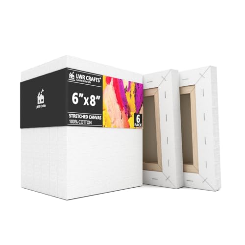 LWR CRAFTS Stretched Canvas 6" X 8" Pack of 6