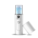 ナノ顔面噴霧器、ポータブルミニミストスプレー ハンディミスト ミニ加湿器補水 携帯ミスト美顔器 携帯スチーマー 携帯加湿器 補水美容器 美顔器ために保湿 美容 まつげエクステ SPA (ホワイト)