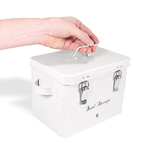 GLOCHYRA Caixa de armazenamento de sementes – Organizador de pacotes de sementes de jardim com divis