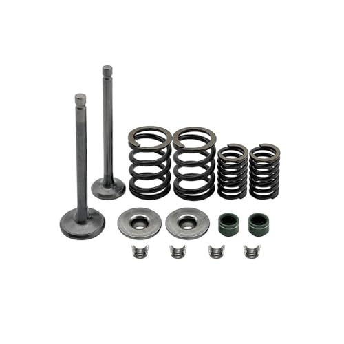 Kit resortes sellado de válvulas culata CRF100F evita pérdidas compresión 4
